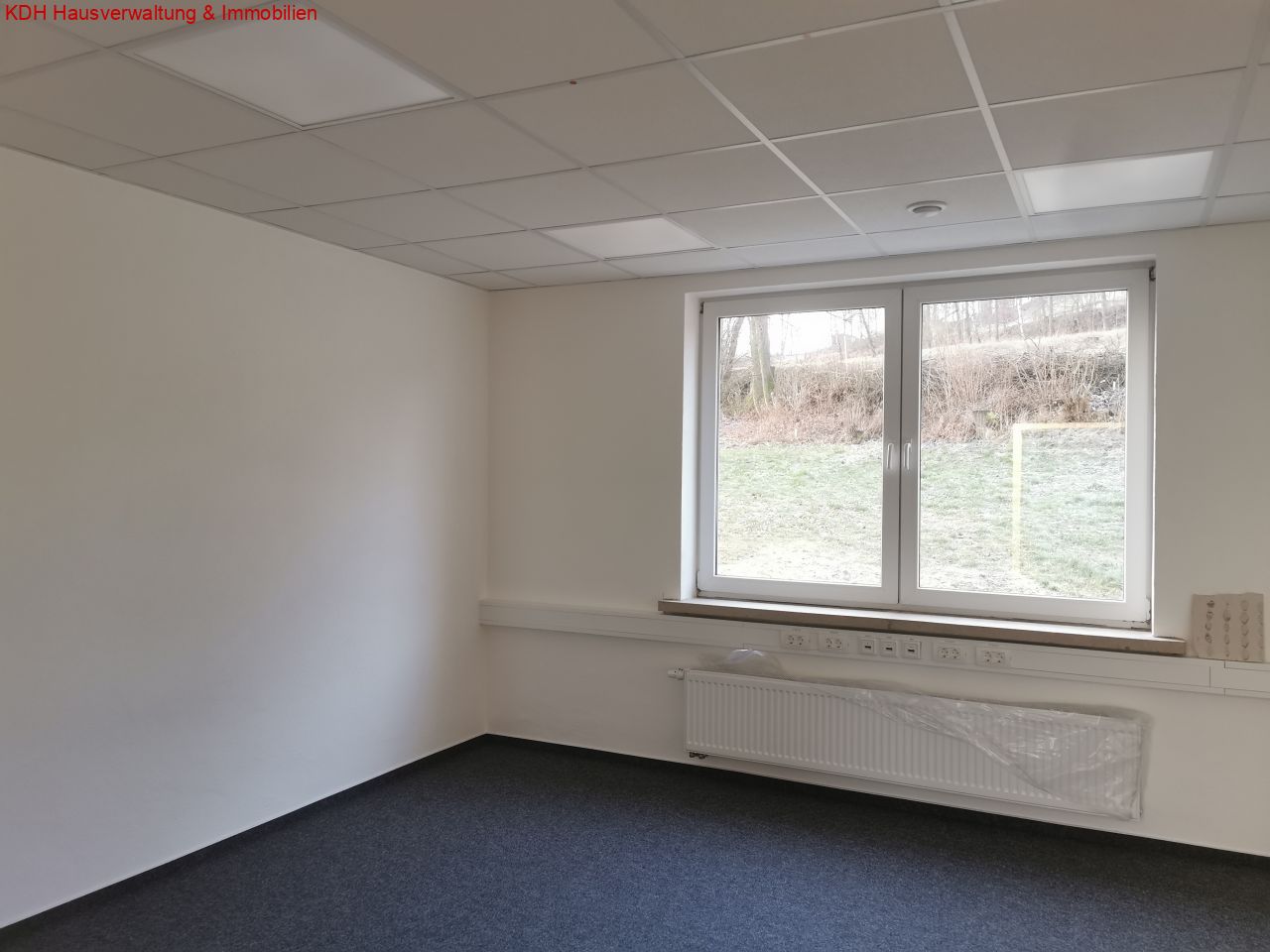 Büroflächen für jeden Bedarf - modern-günstig-Autobahnanbindung (Lau-GE-01) — Büro