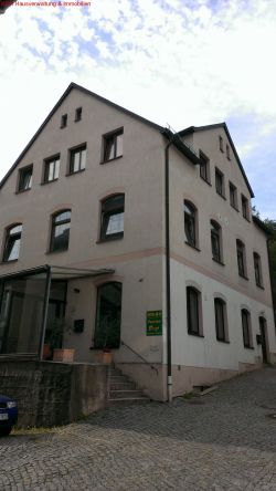 StartUp 1-Raum-Wohnung (028-005)